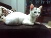 IMG_20160310_145657.jpg