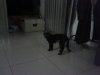 IMG_20160326_180418.jpg