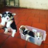 20160320_095706716_iOS.jpg
