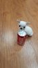 IMG_20160327_164903.jpg