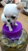 IMG_20160327_165013.jpg