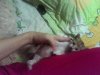 IMG_20160403_080742.jpg