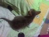 IMG_20160403_080730.jpg