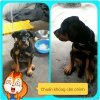 TMPDOODLE1460179159782.jpg