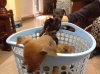 received_487056224813945.jpeg