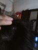 IMG20160430151038.jpg