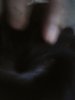 IMG20160430151323.jpg
