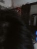 IMG20160430151043.jpg