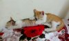 IMG_20160520_160513.jpg