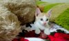 IMG_20160520_160446.jpg
