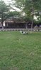 received_10208138644377174.jpeg