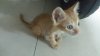 20160530_220502.jpg