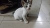 20160530_220318.jpg