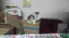 20160530_220031.jpg