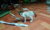 IMG_20160613_083532.jpg