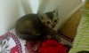 IMG_20160613_083552.jpg