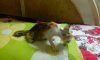 IMG_20160613_083538.jpg