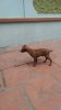 received_212988182434642.jpeg