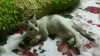 rps20160918_122230.jpg