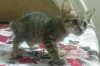 rps20160920_092603.jpg