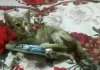 rps20160920_092515.jpg