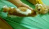 rps20161008_113033.jpg
