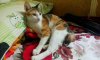 rps20161008_113016.jpg