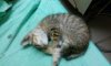 rps20161008_112951.jpg