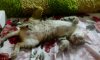 rps20161008_112935.jpg