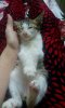 rps20161008_112827.jpg