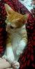 rps20161008_103557.jpg