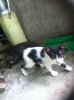 rps20161014_121548.jpg