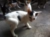 rps20161026_201906.jpg