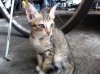 rps20161026_201926.jpg