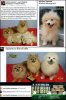 FB_IMG_1483891144635.jpg