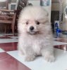 BeautyPlus_20170113144019_save.jpg