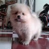 BeautyPlus_20170113144301_save.jpg