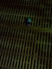 17022330_1343302872397398_6185067014133105033_n.jpg