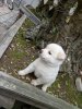 IMG_20170408_222410.jpg