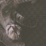 minhanhng