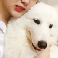 Joy123