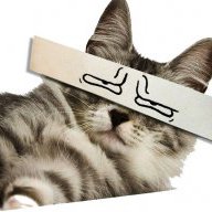 prettycat214