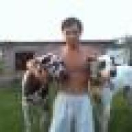 tinhiep8082