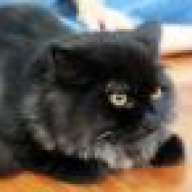 lululubu