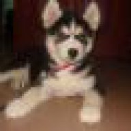 zRedPuppyz