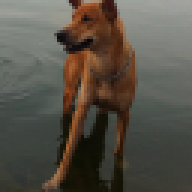 billadin