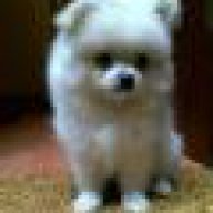 babi