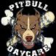 pittbull_tn