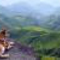 can_508381