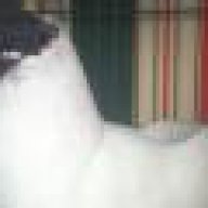 bocaukieng5555